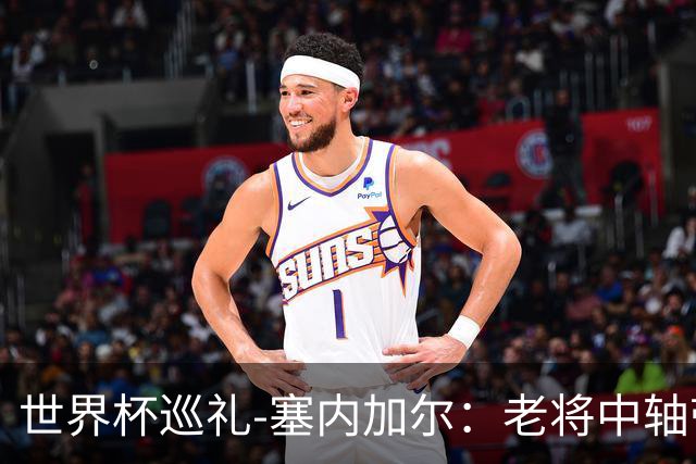 世界杯巡礼-塞内加尔：老将中轴带来安全感，非洲顶流前景可期！